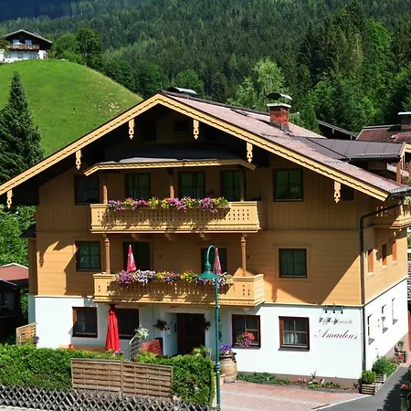 Pensionat Haus Amadeus Wagrain
